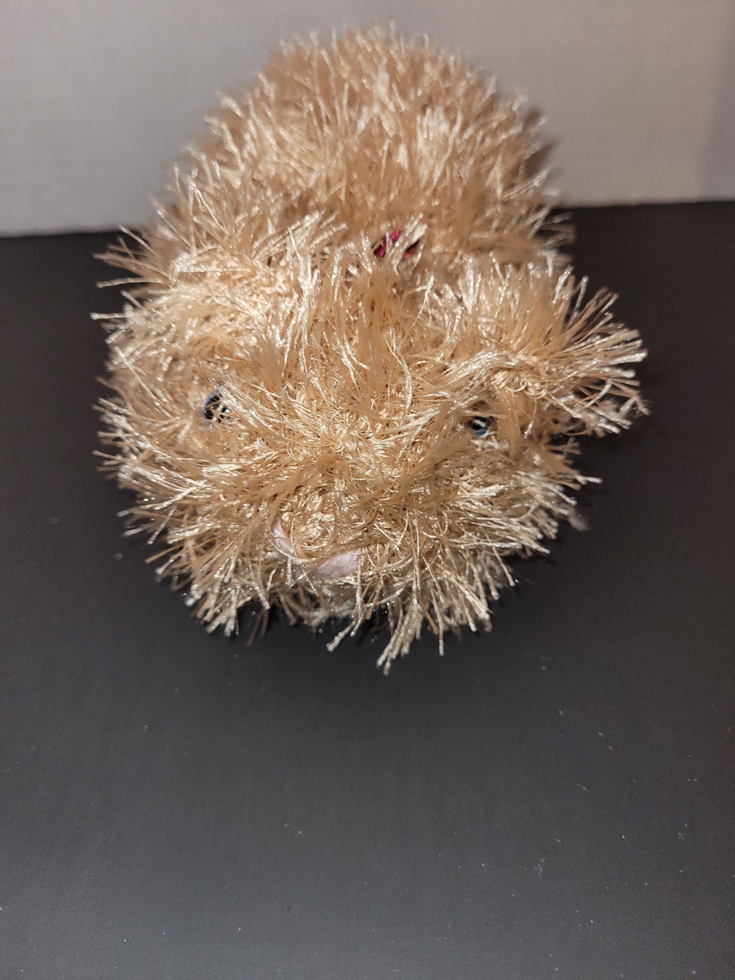 Guinnea Pig